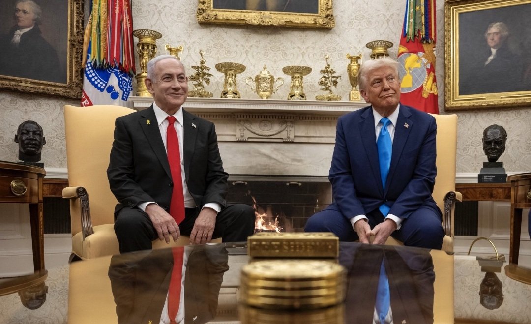 صورة المقال 2 في الترفيه